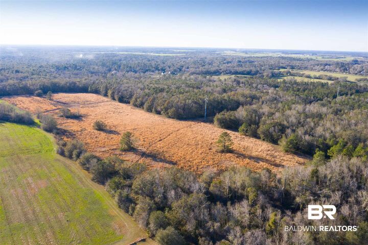 Property Photo:  0 County Road 49  AL 36535 