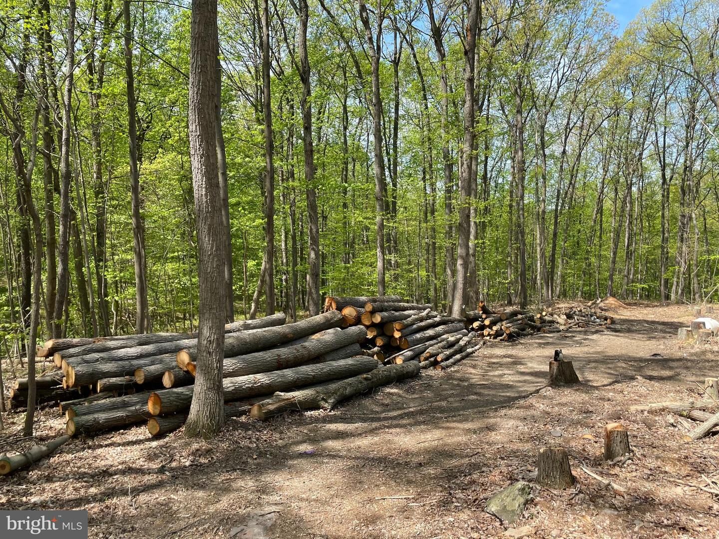 Property Photo:  40 Desiree Drive  PA 17019 