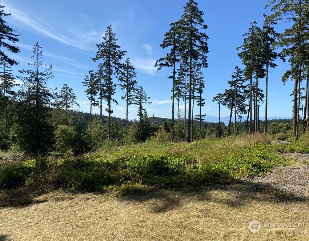 Property Photo:  155 Little Mountain Lane  WA 98261 