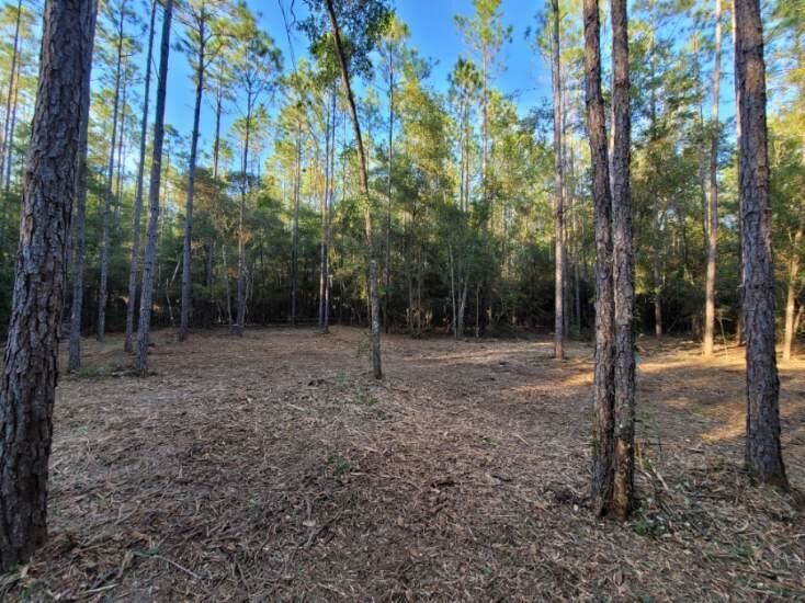 Property Photo:  Lot 1 Tram Road  FL 32311 