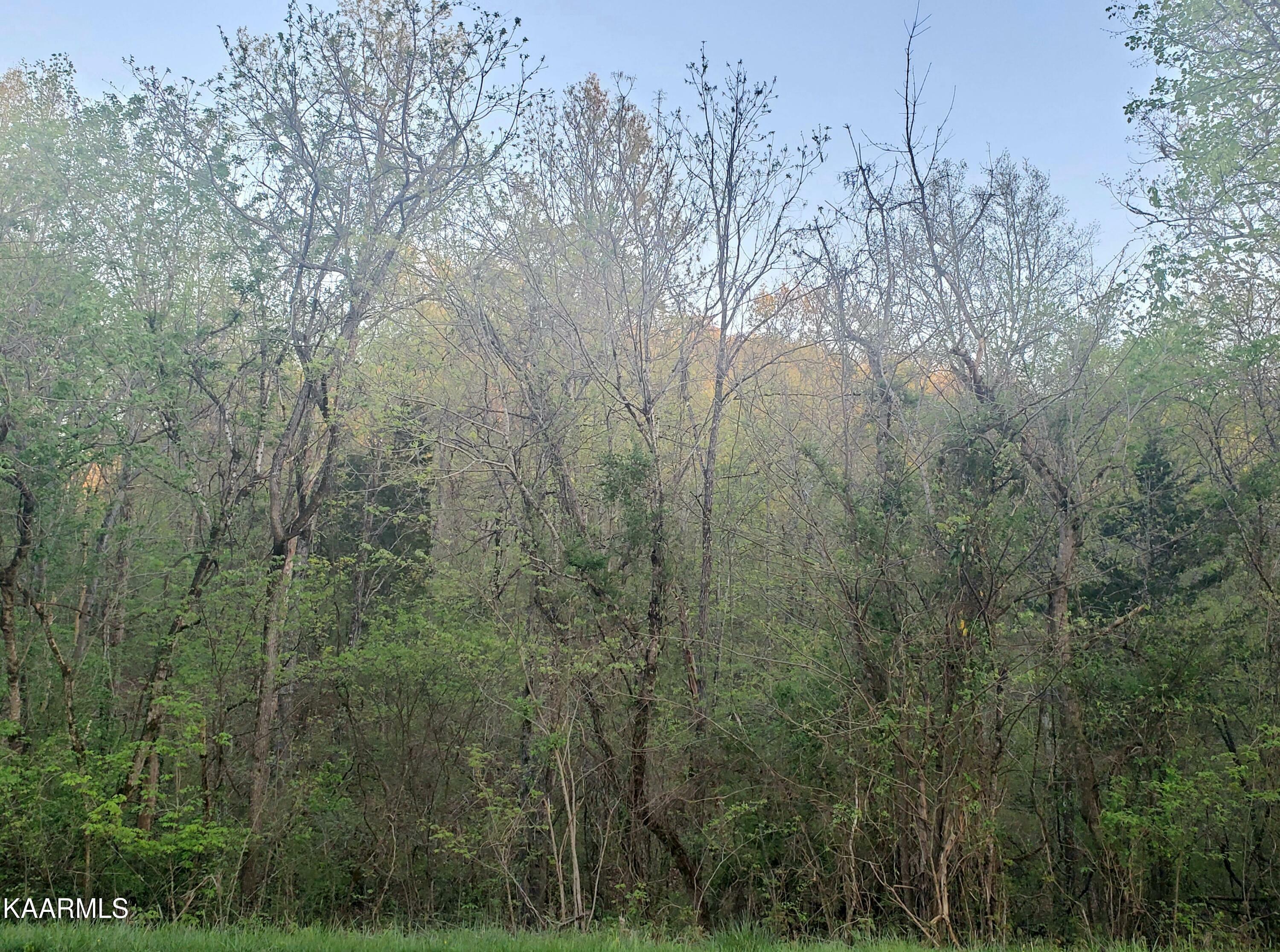 Property Photo:  0 Maples Rd  TN 37764 