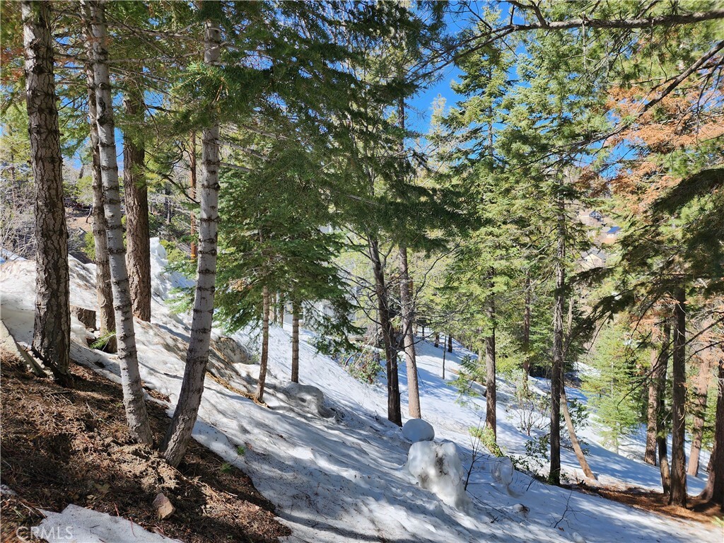 Property Photo:  0 Placer Lane  CA 92352 