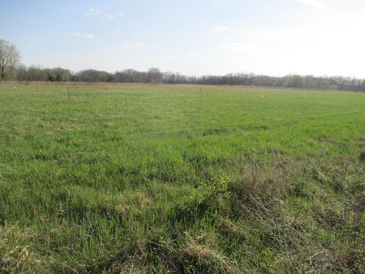 Property Photo: 1103 N Walnut MO 63501