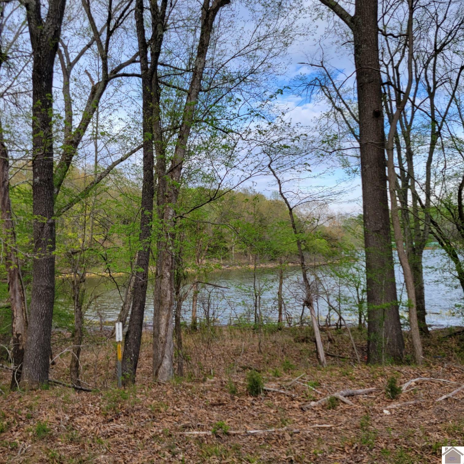 Property Photo:  1061 Gregory Road  KY 42038 