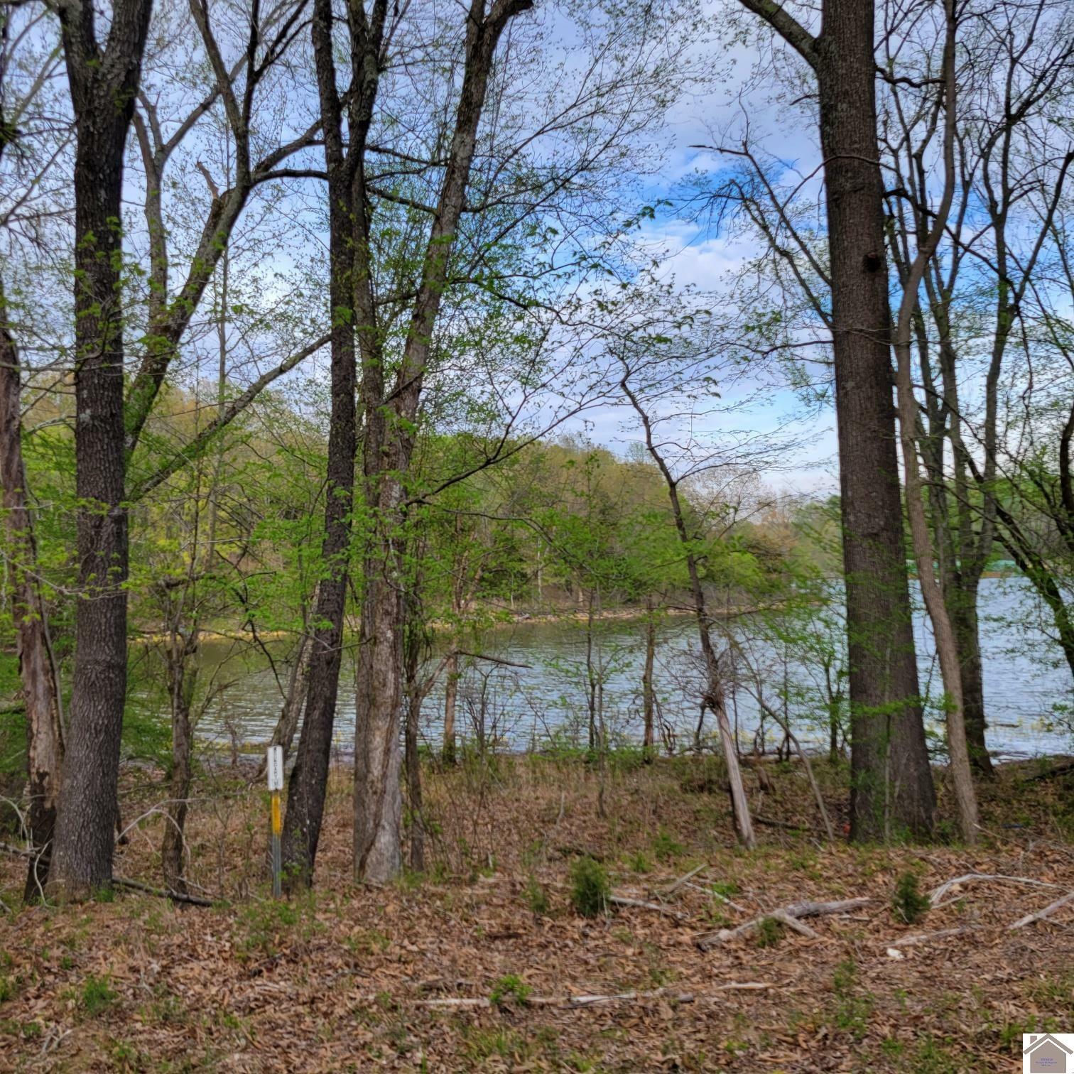 Property Photo: 1061 Gregory Road KY 42038