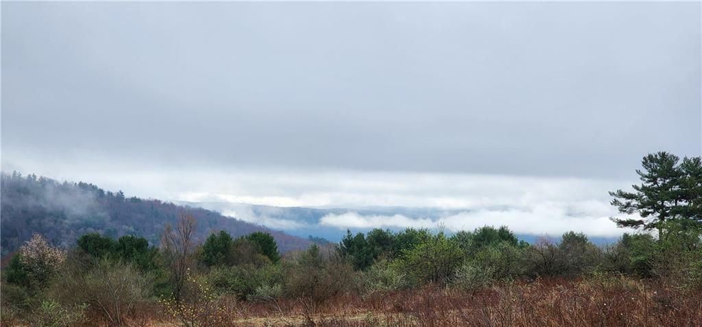 Property Photo: 0 Goodnough Road NY 13730