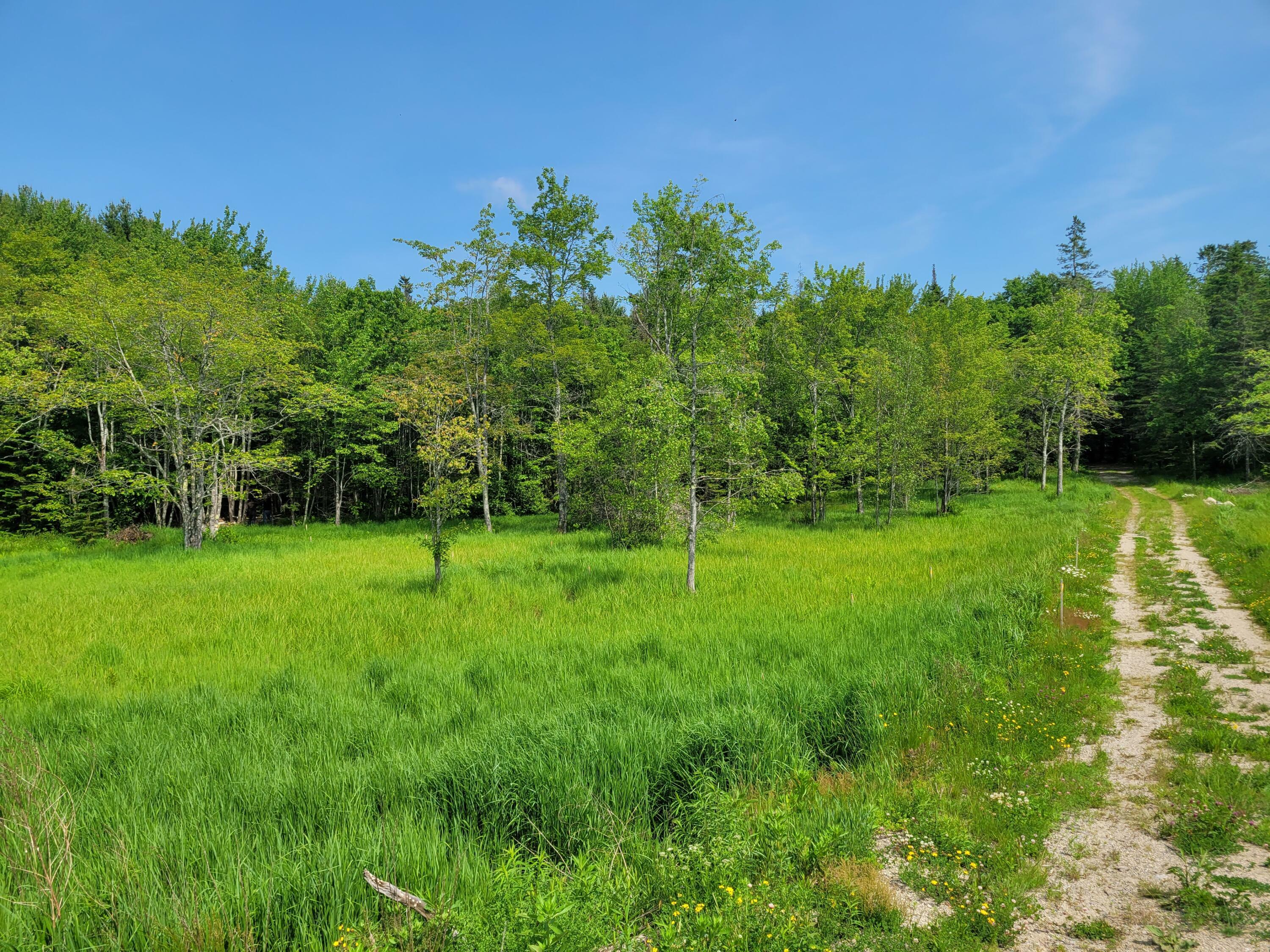 Property Photo:  Tbd Grist Mill Road  ME 04634 