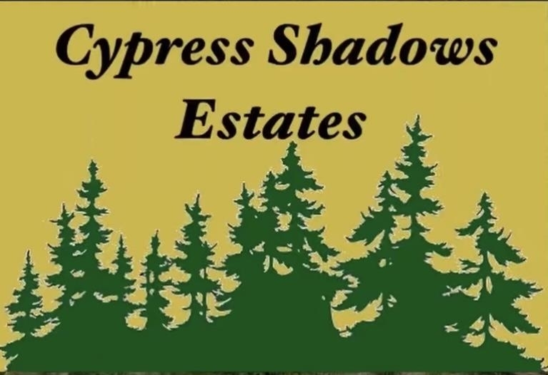 2925 Cypress Shadows Lane  Orange TX 77632 photo