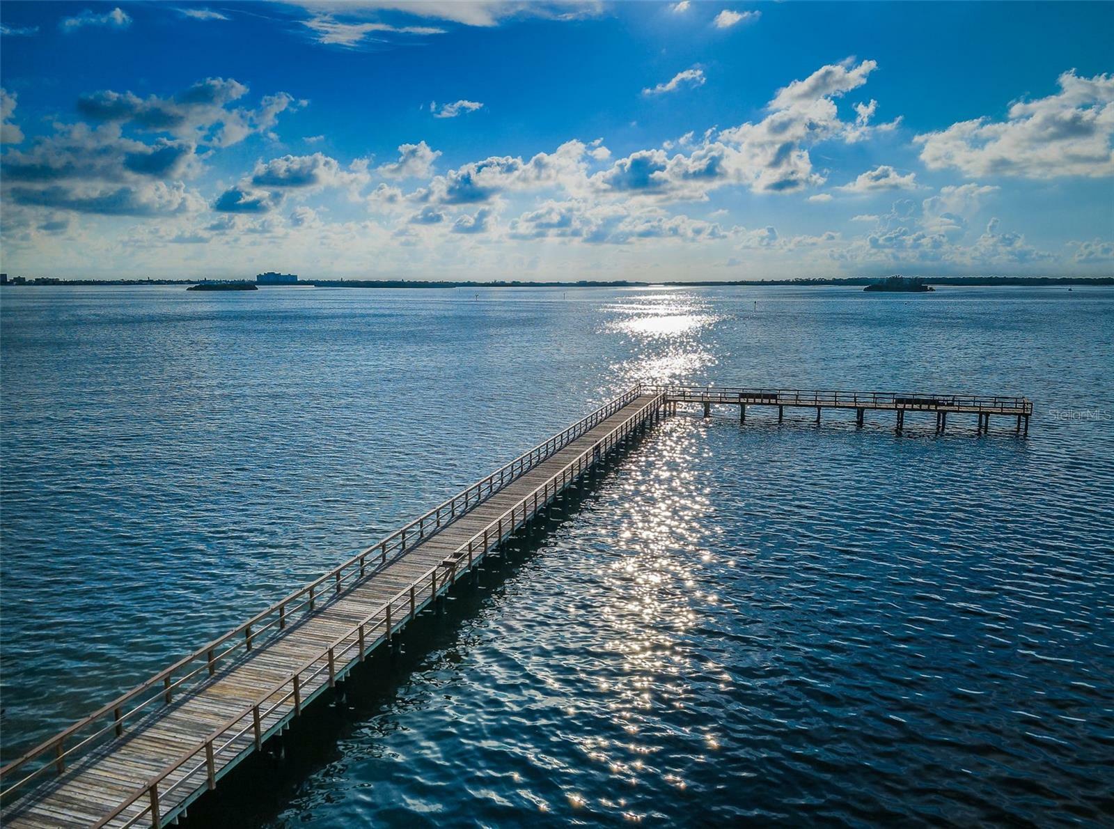 Property Photo: 622 Edgewater Drive 822 FL 34698