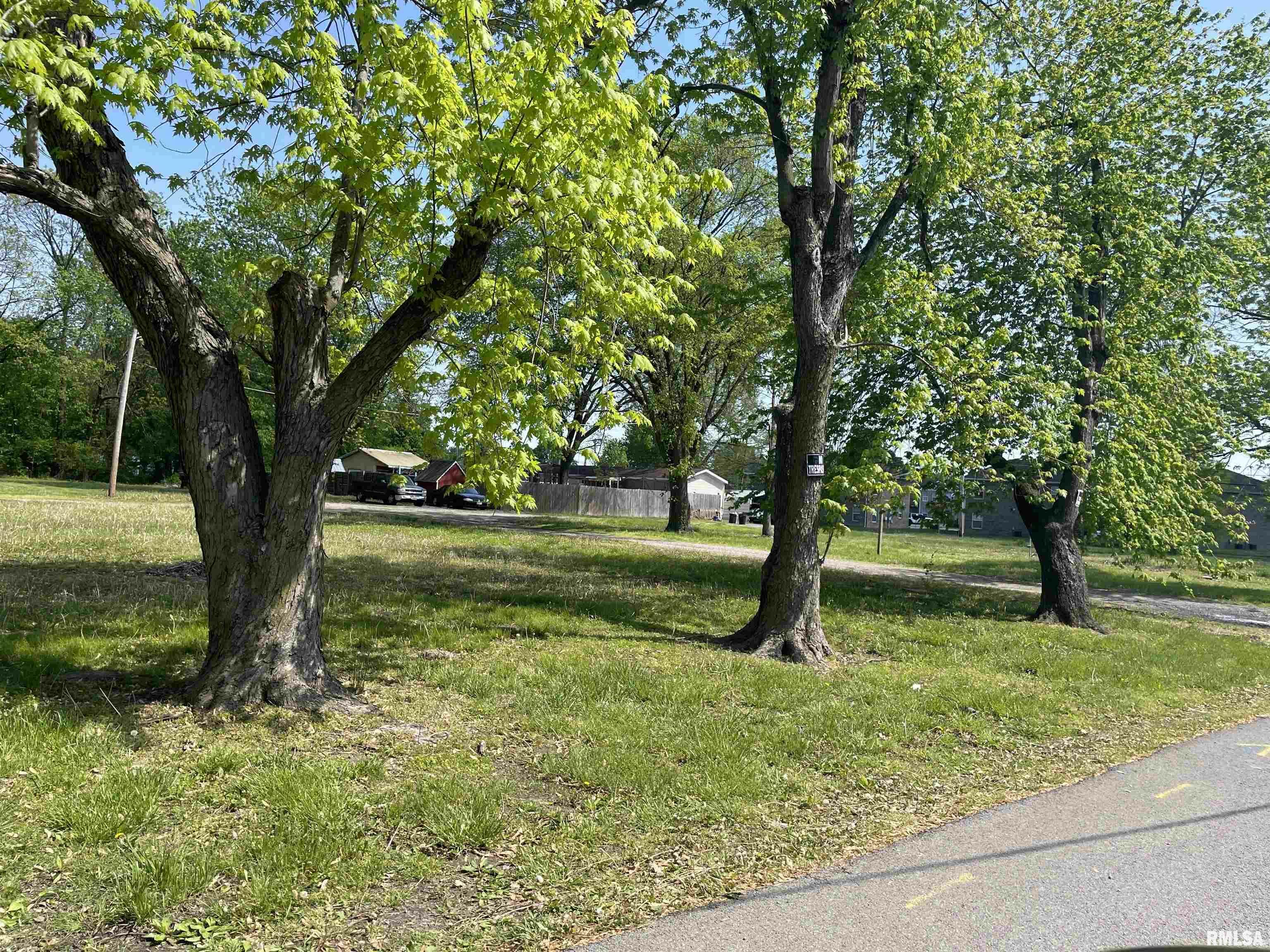 Property Photo: 2011 Morgan Avenue IL 62959