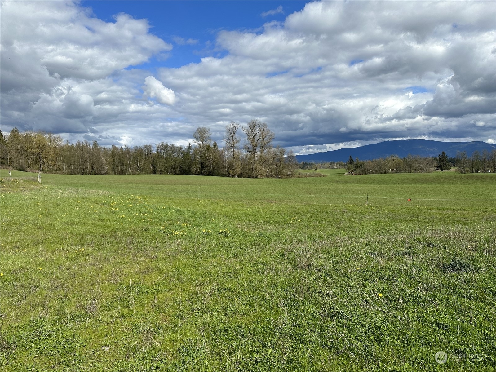 Property Photo:  2160 Lagerwey Circle  WA 98264 