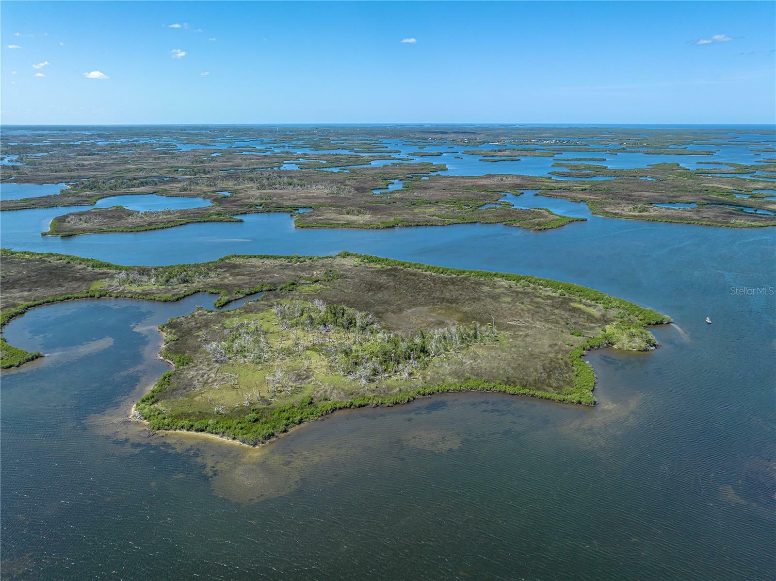 Property Photo:  12323 The Salt River  FL 34429 