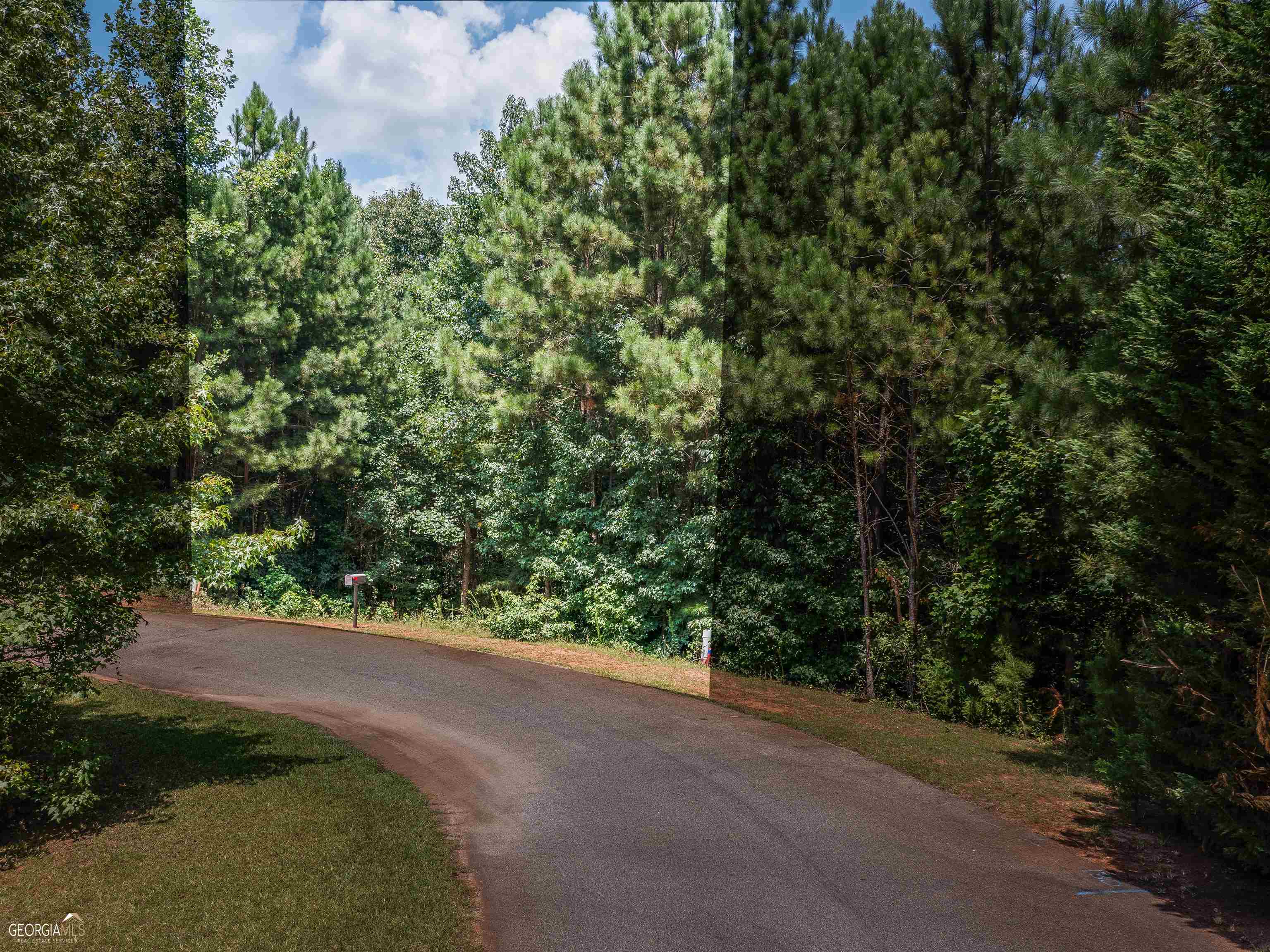 Property Photo:  Lot 16 Maple Valley Drive  GA 30234 