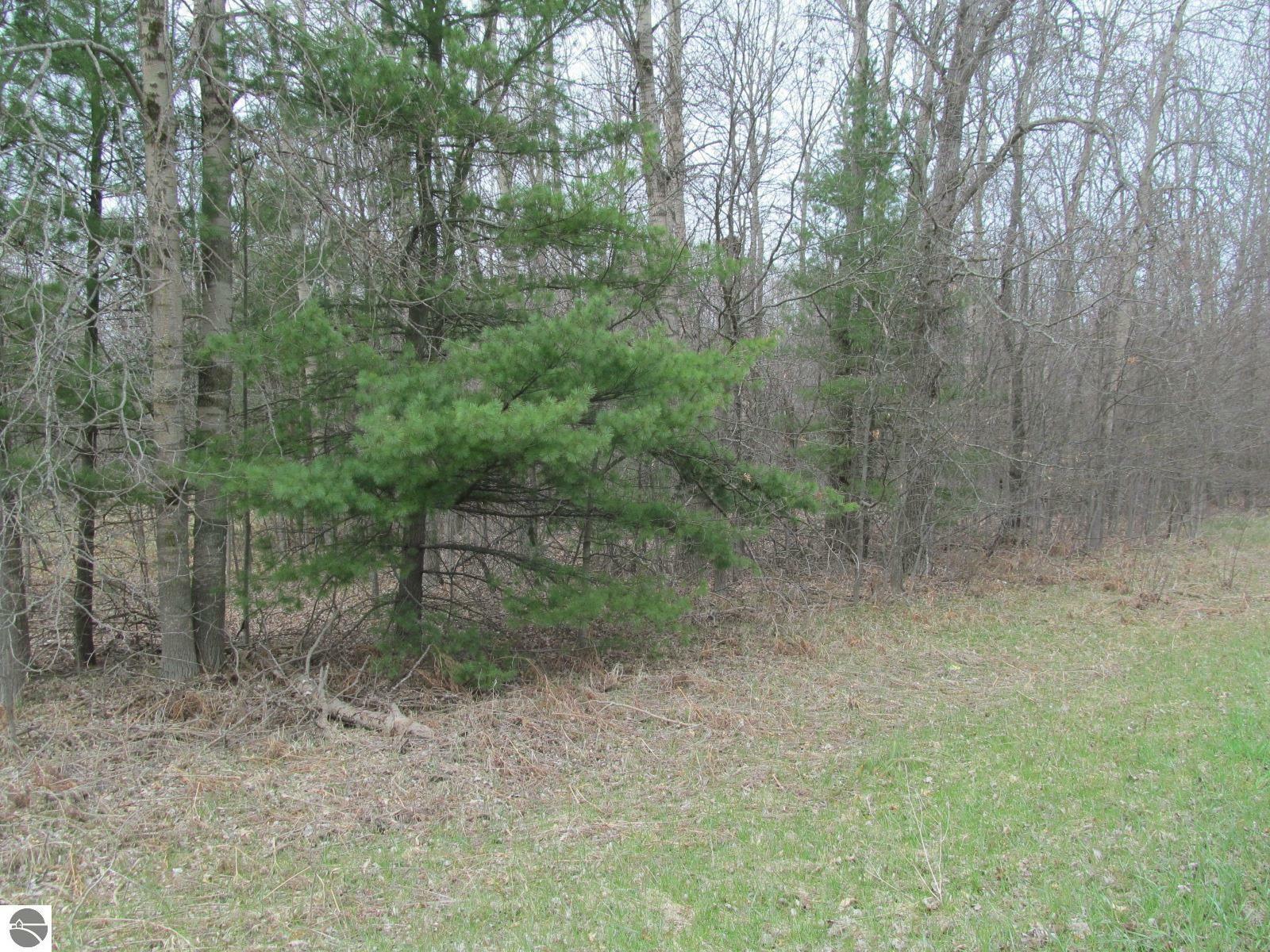 Property Photo:  Lot 7 W Blue Road River Woods Estates #1  MI 49651 