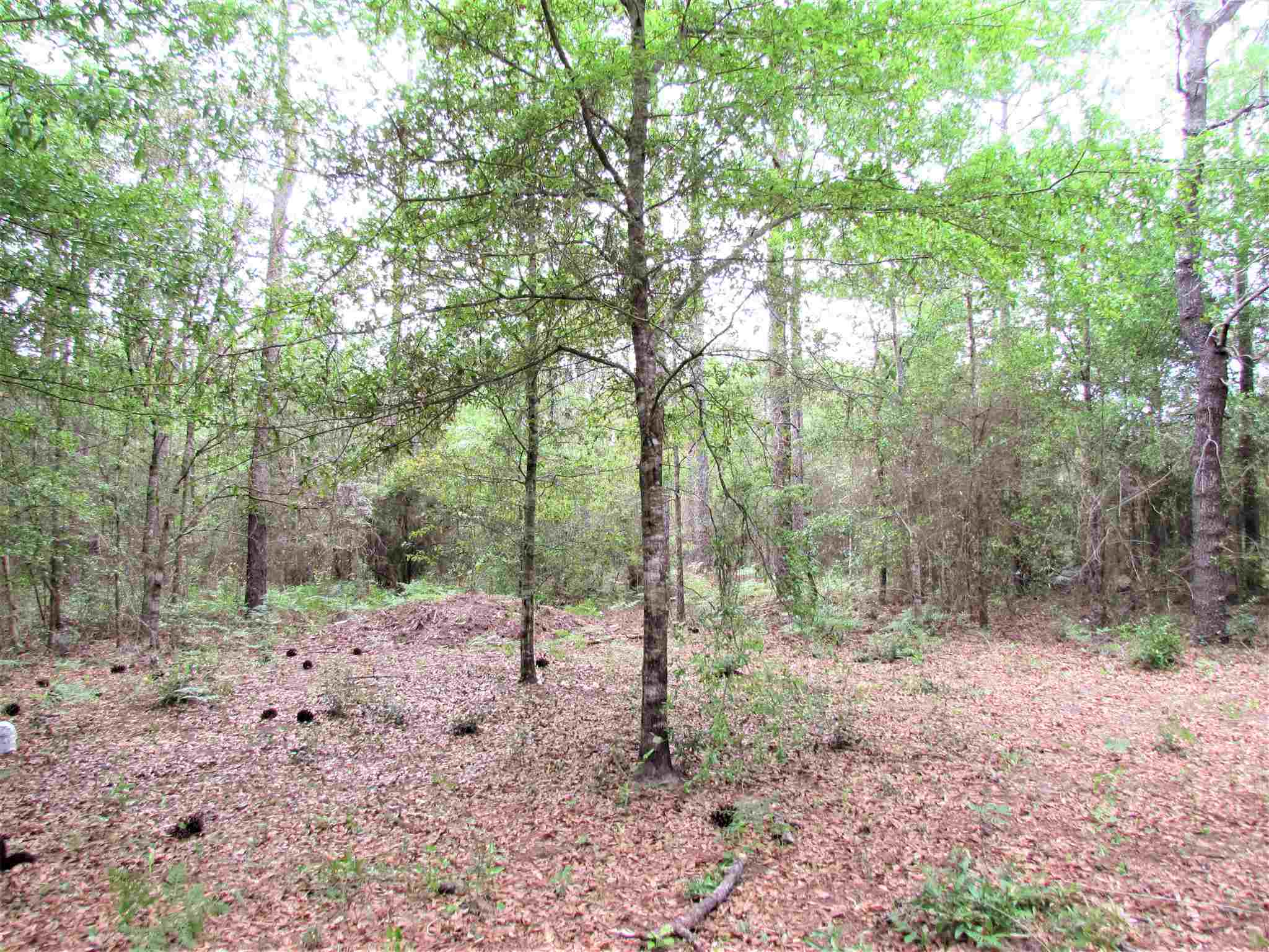 Property Photo:  11700 Outlook Rd  FL 32583 