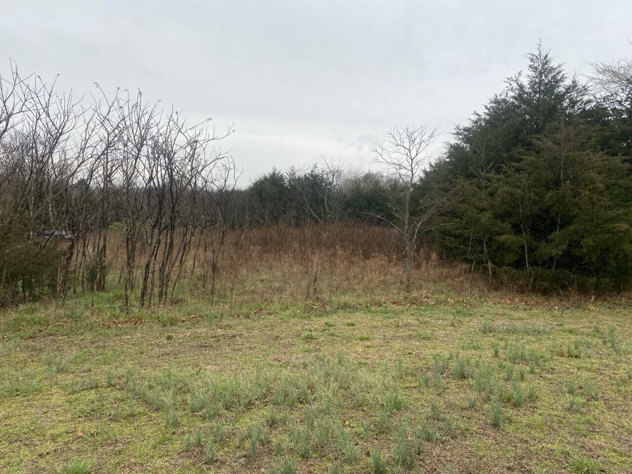 Property Photo:  Lot 32 Emerald Beach  MO 65658 