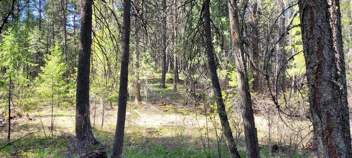 656 Valley-Westside Rd  Colville WA 99114 photo