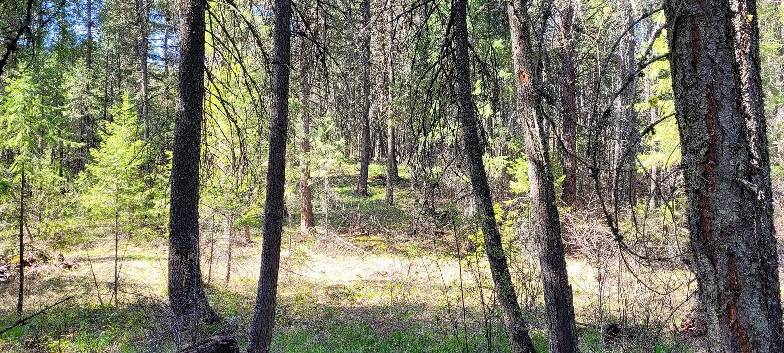 Property Photo: 656 Valley-Westside Rd WA 99114