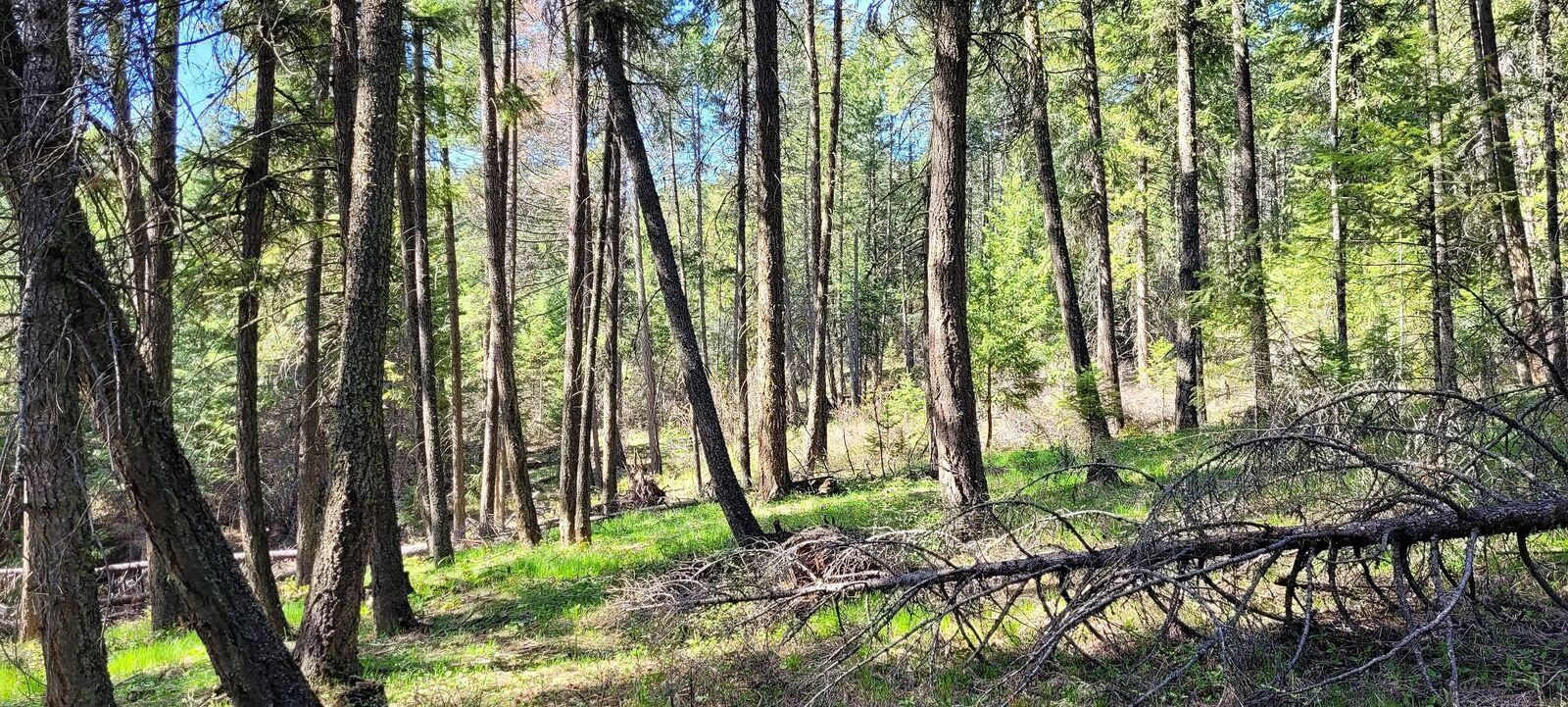 Property Photo: 656 Valley-Westside Rd WA 99114