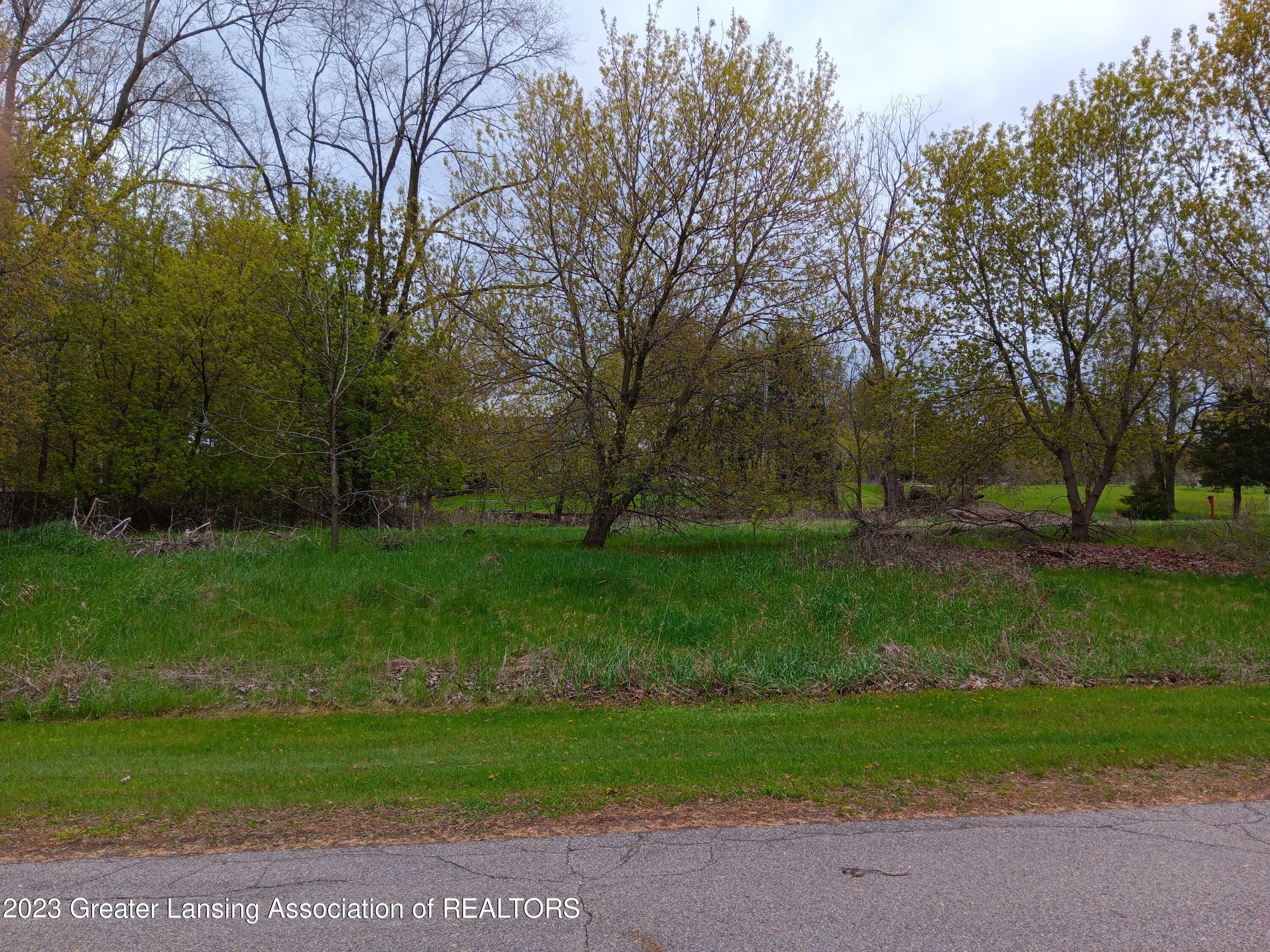 Property Photo:  00 W Riverview Drive  MI 48872 