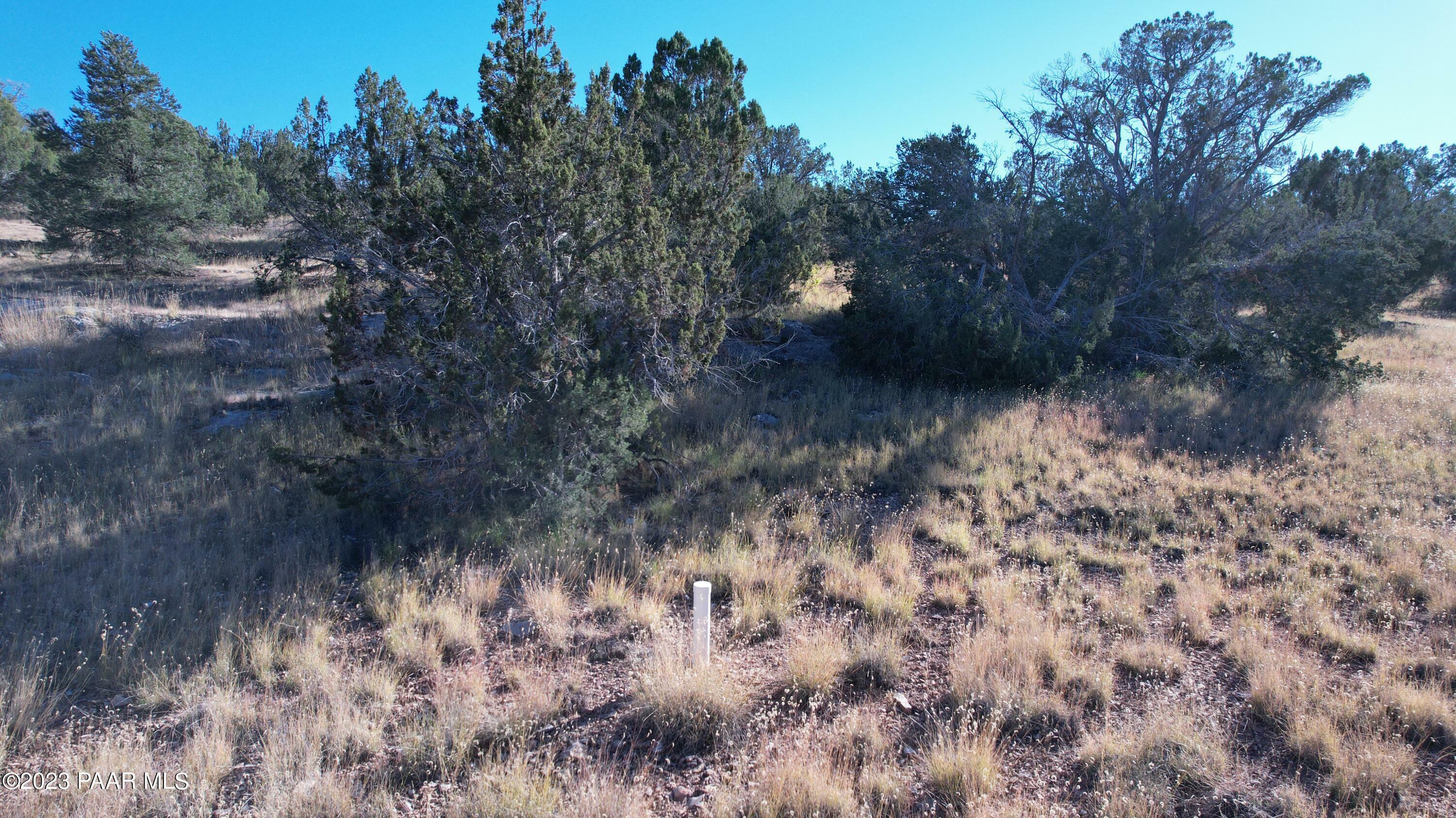 Property Photo:  30863 W Basconia Road  AZ 86337 