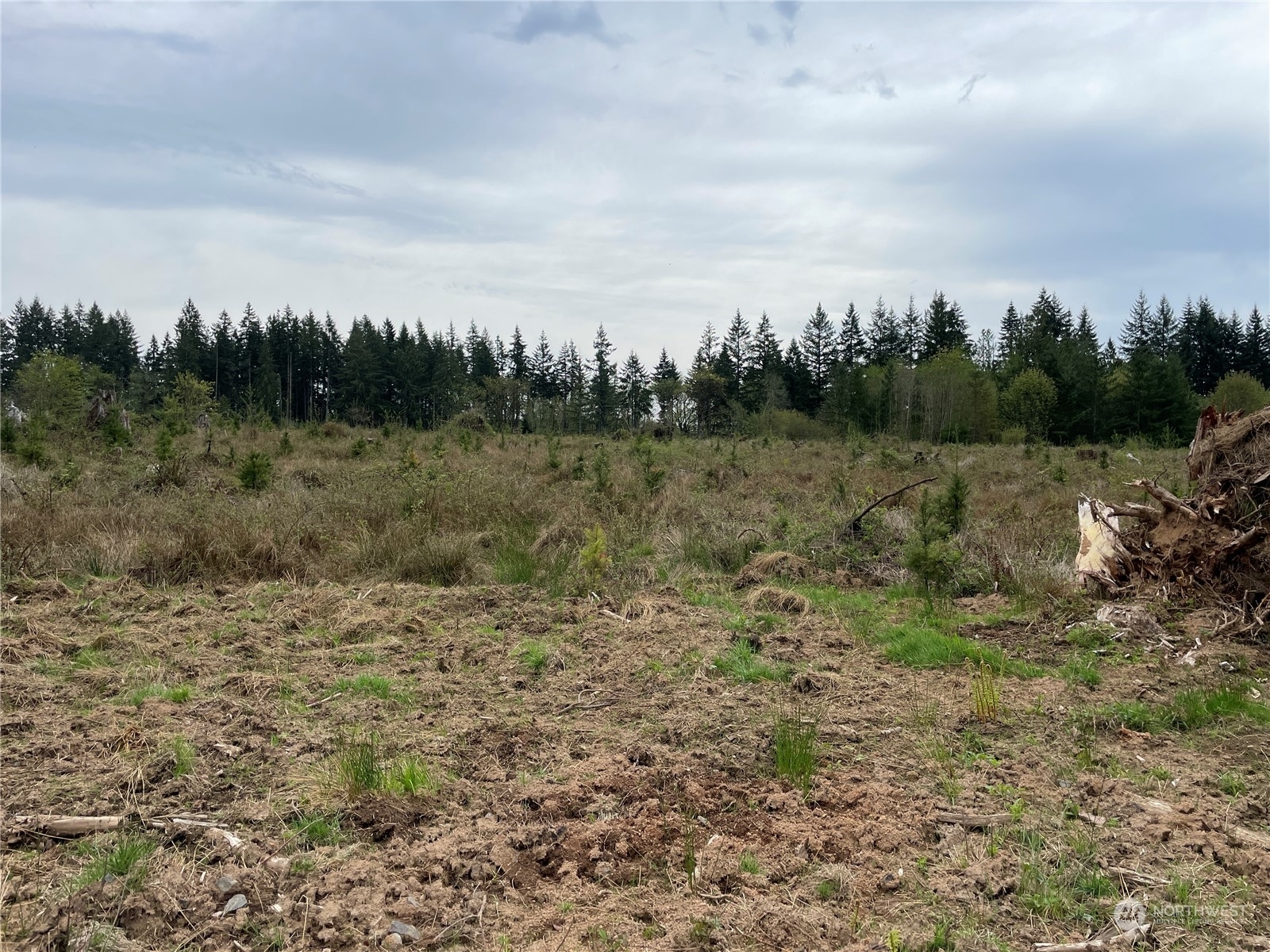 Property Photo: 214 Studebaker Spur 3 WA 98611