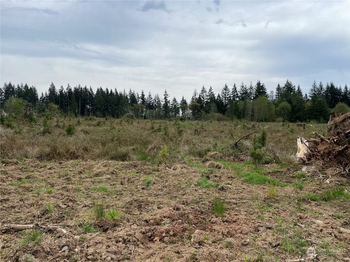 Property Photo:  214  Studebaker Spur 3  WA 98611 