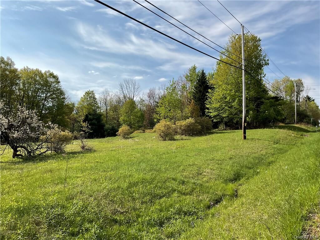 Property Photo:  State Route 42  NY 12701 