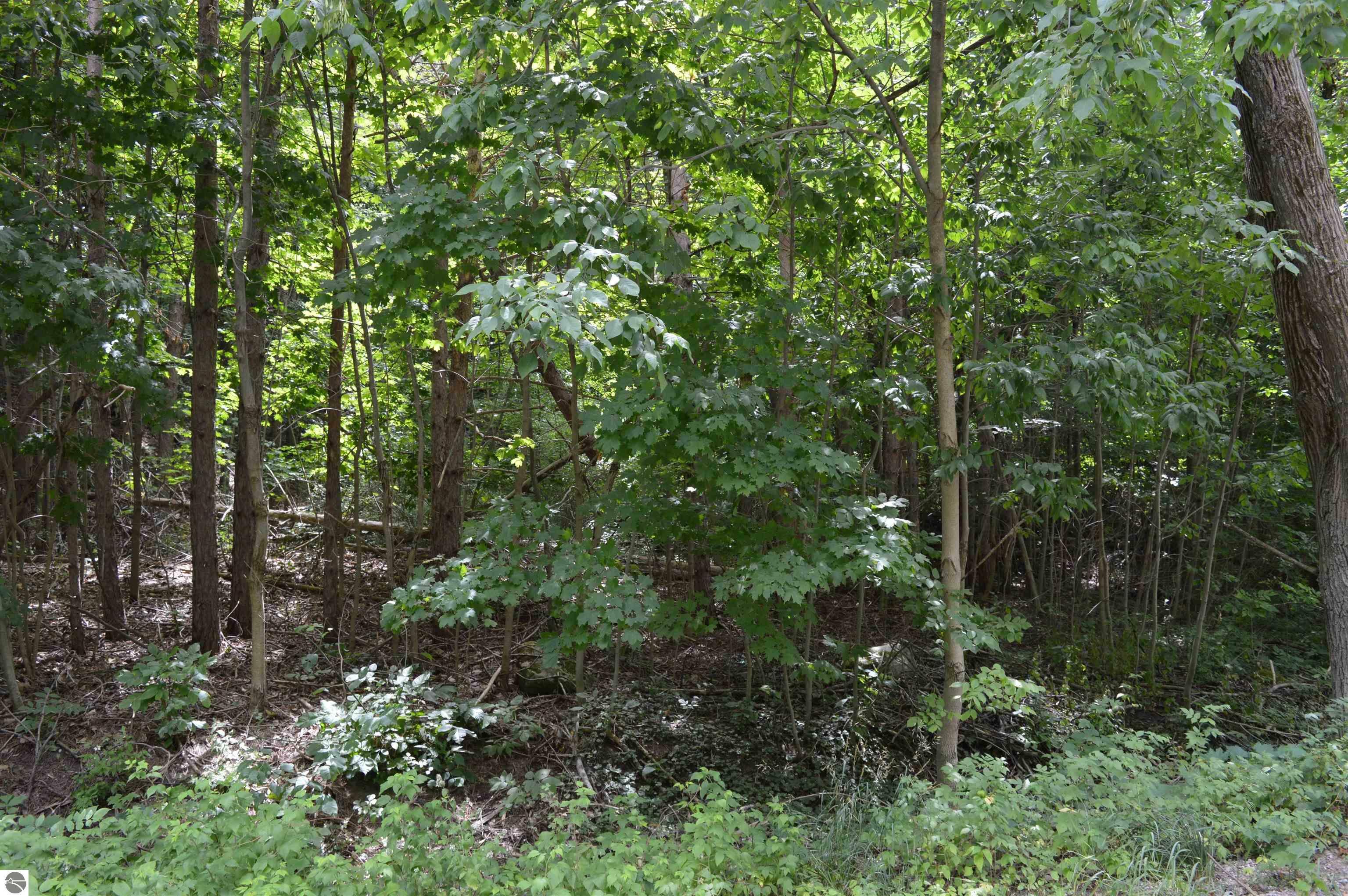 Property Photo:  Zimmerman Road  MI 49676 