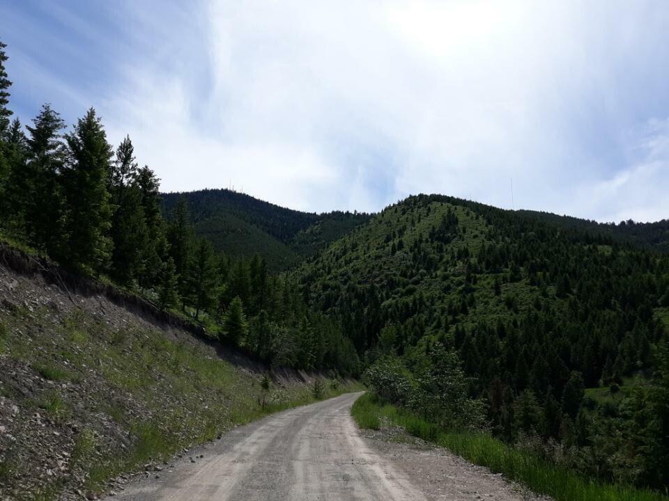 Property Photo:  Nhn H Larch Camp Road  MT 59803 