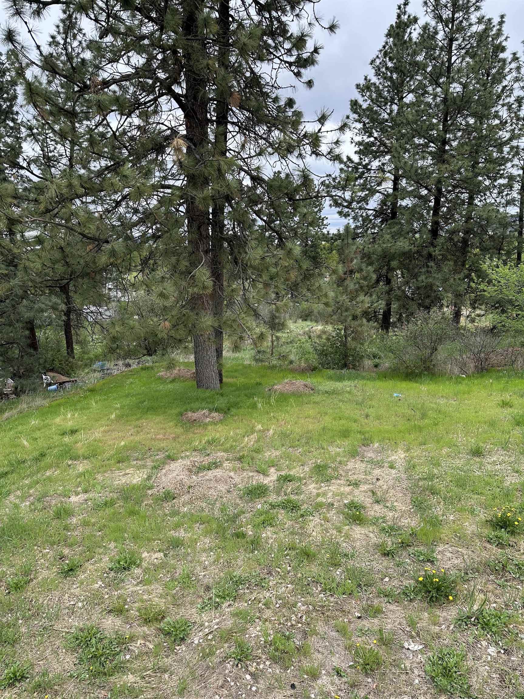 Property Photo: 4103 E 8th Ave WA 99202-5220