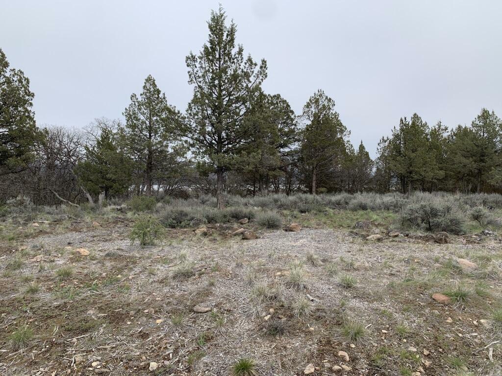 Property Photo: Lot 1173 Pipit Ct OR 97601