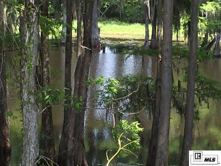Property Photo: 9254 Desiard Trace LA 71280