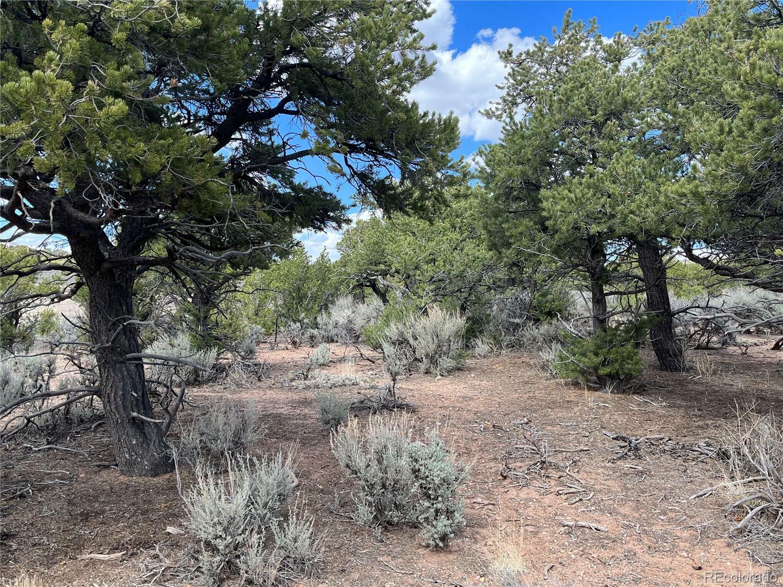 Property Photo:  00 Annenberg Road  CO 81133 