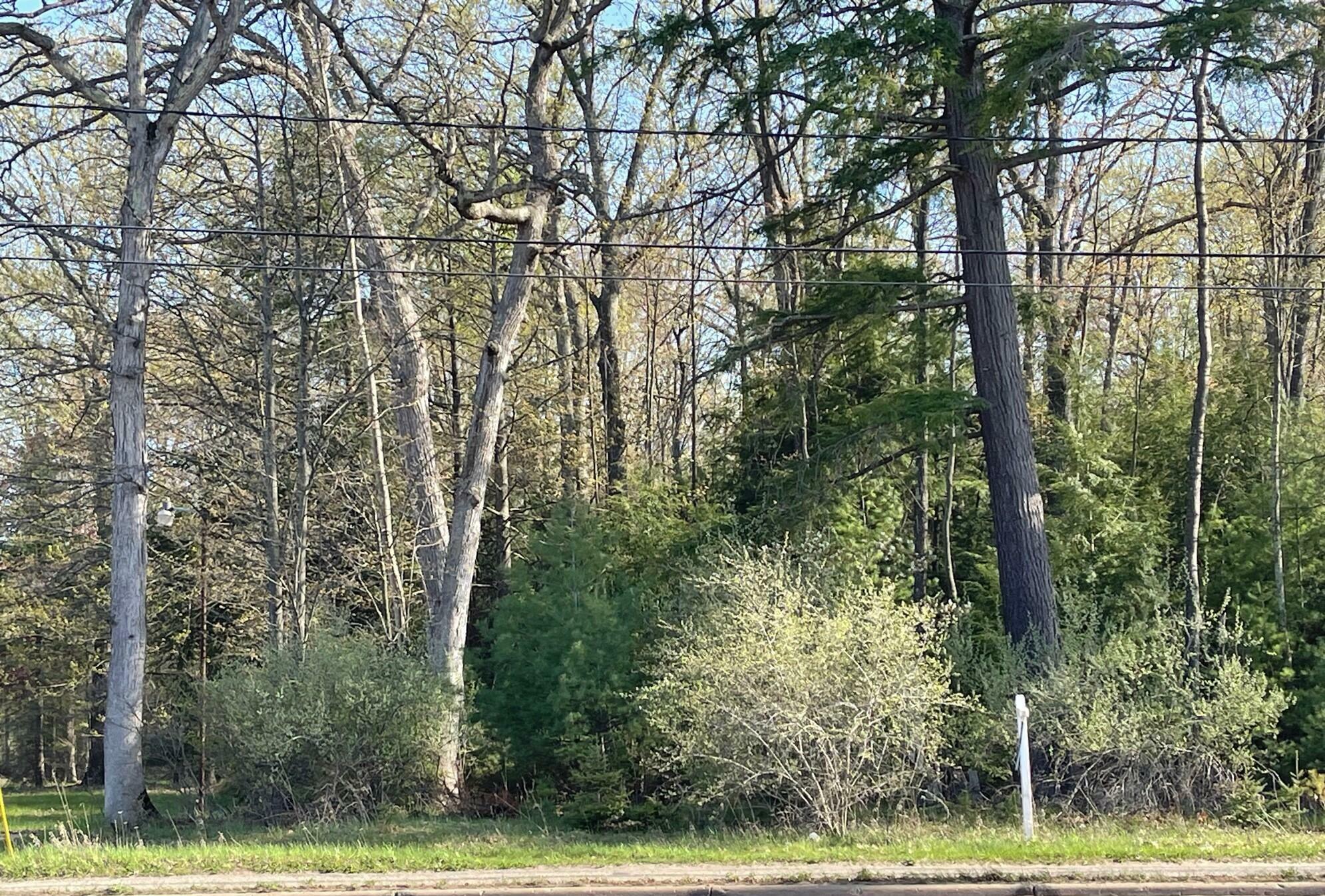 Property Photo:  W Houghton Lake Drive  MI 48651 