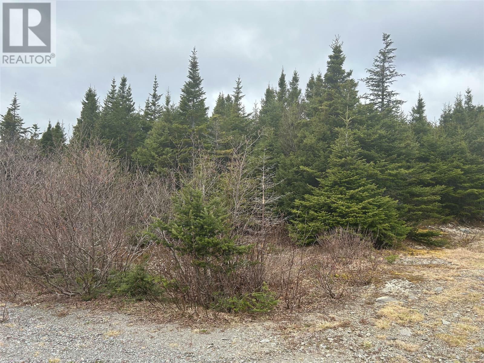 Lot #01 Slate Mine Road  Burgoynes Cove NL A0C 1G0 photo