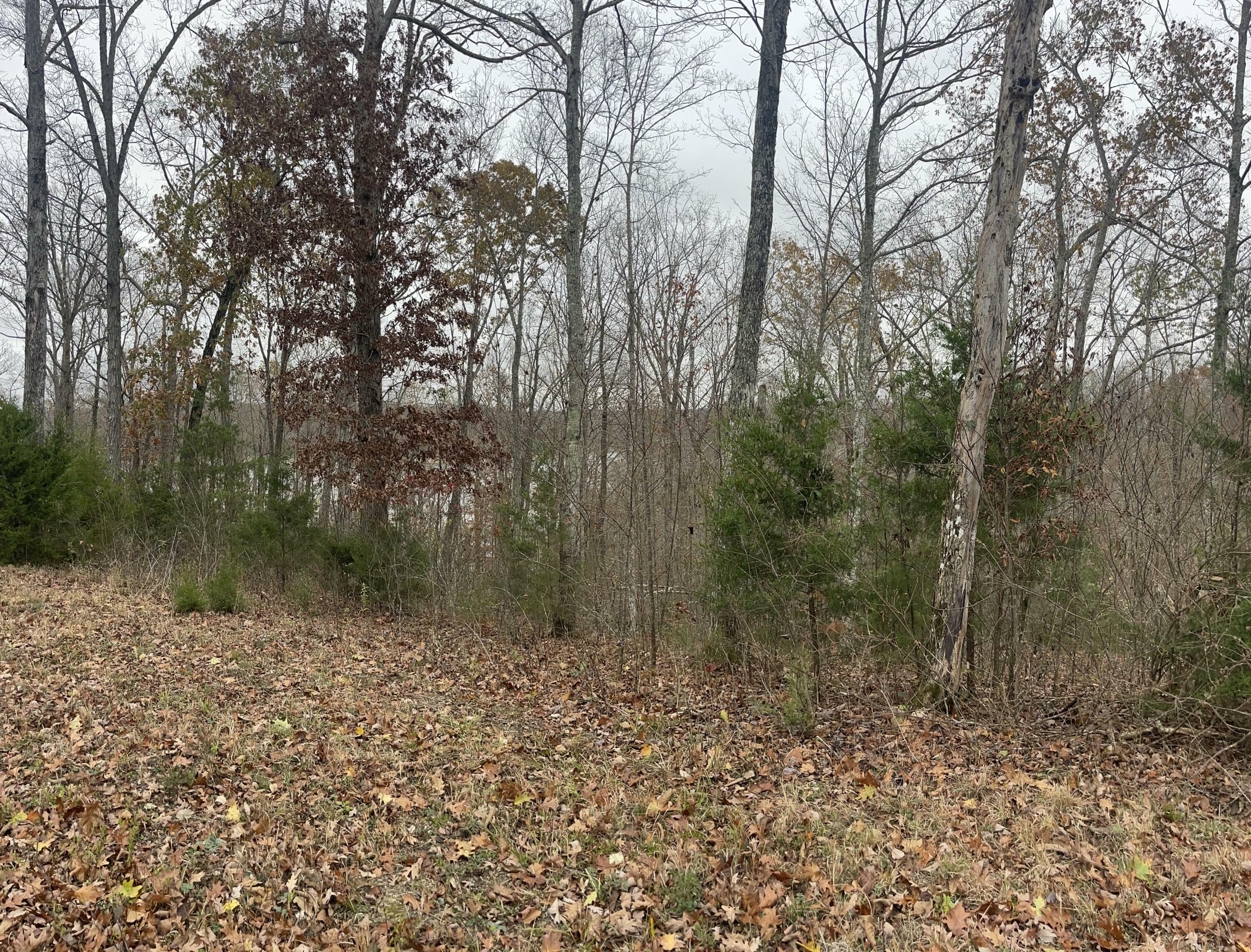 Property Photo:  Lot 28 Cumberland Shores  KY 42633 