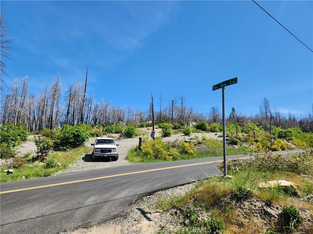 Property Photo:  2175 Bald Rock Road  CA 95916 