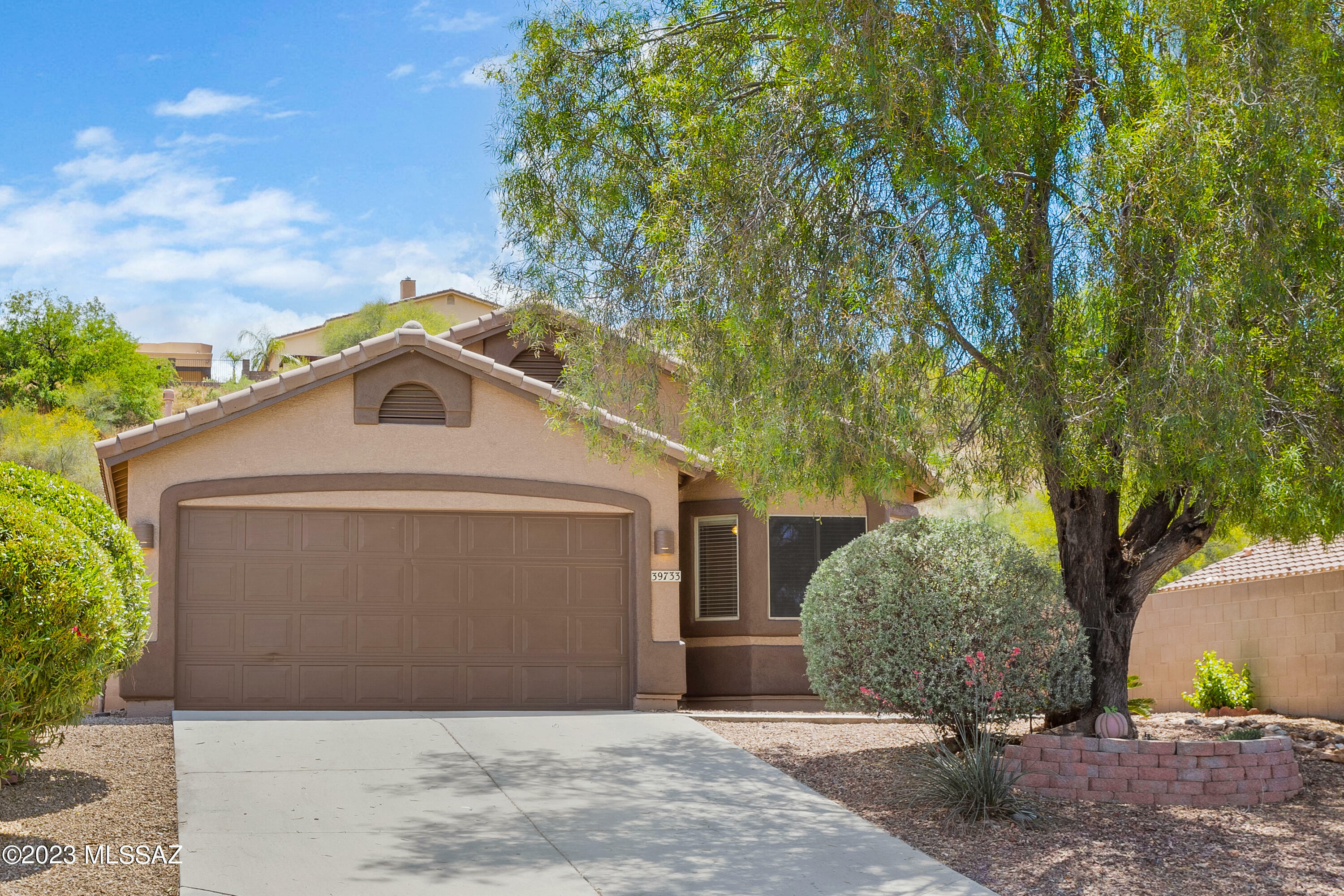 Property Photo:  39733 S Old Arena Drive  AZ 85739 