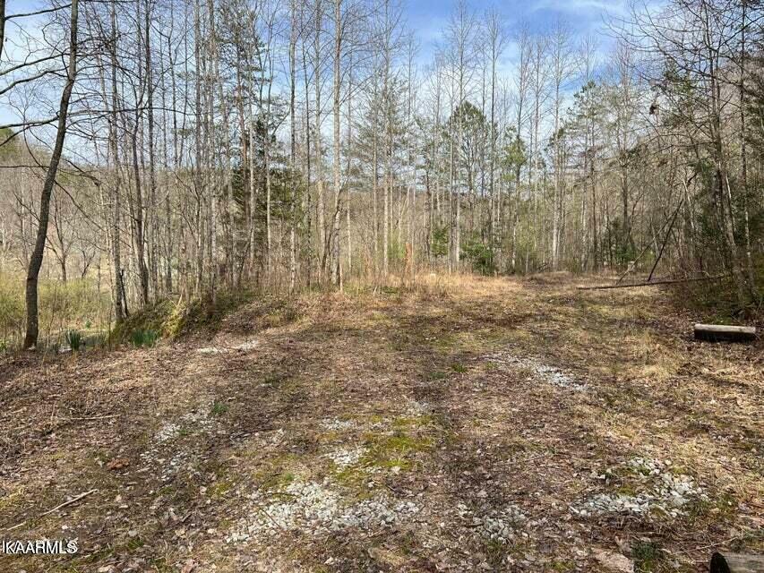 Property Photo:  Roses Creek Lot B  TN 37715 