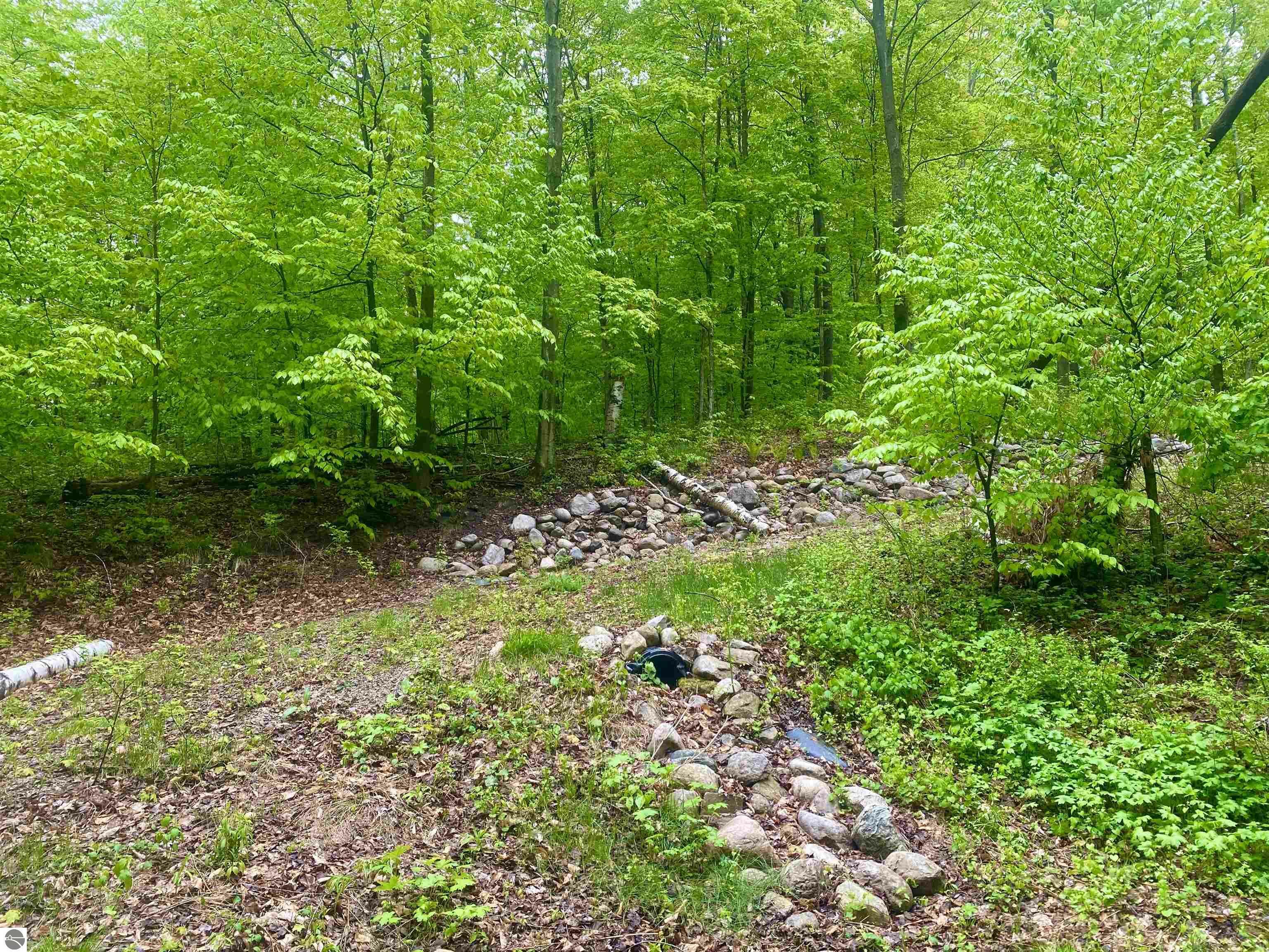 Property Photo: 18579 Saint Pierre Road MI 49613