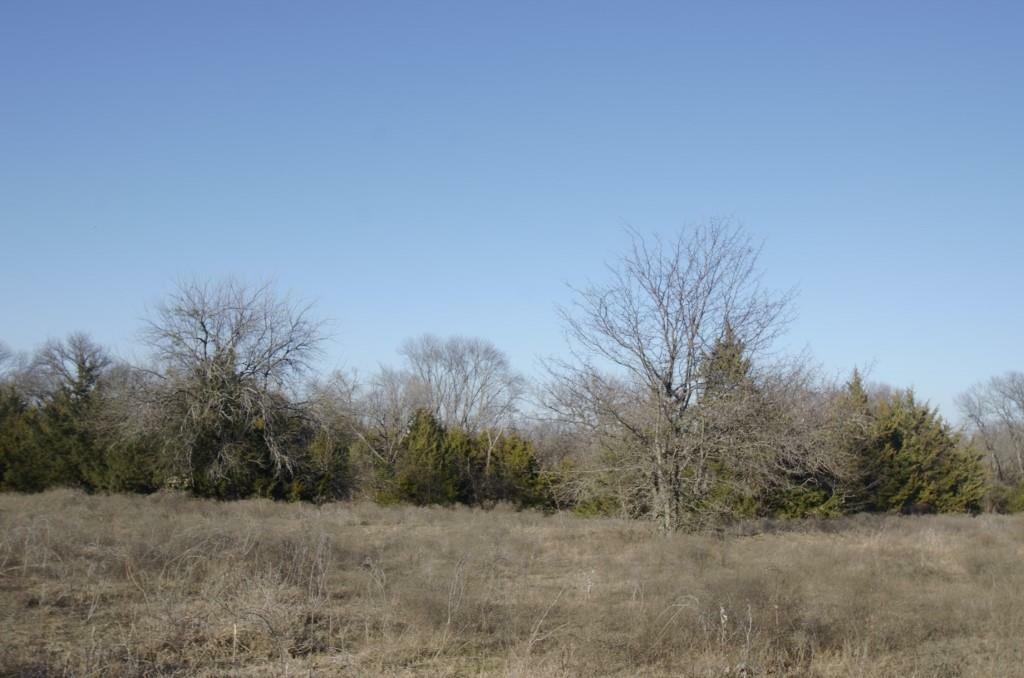 Property Photo: Tract 2 Frank Wood Road TX 75090