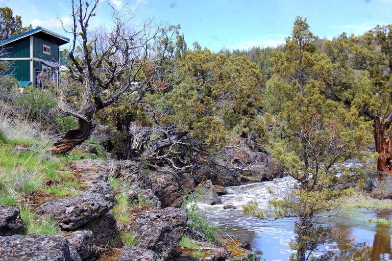 Property Photo: 12410 Cayuse Road OR 97754