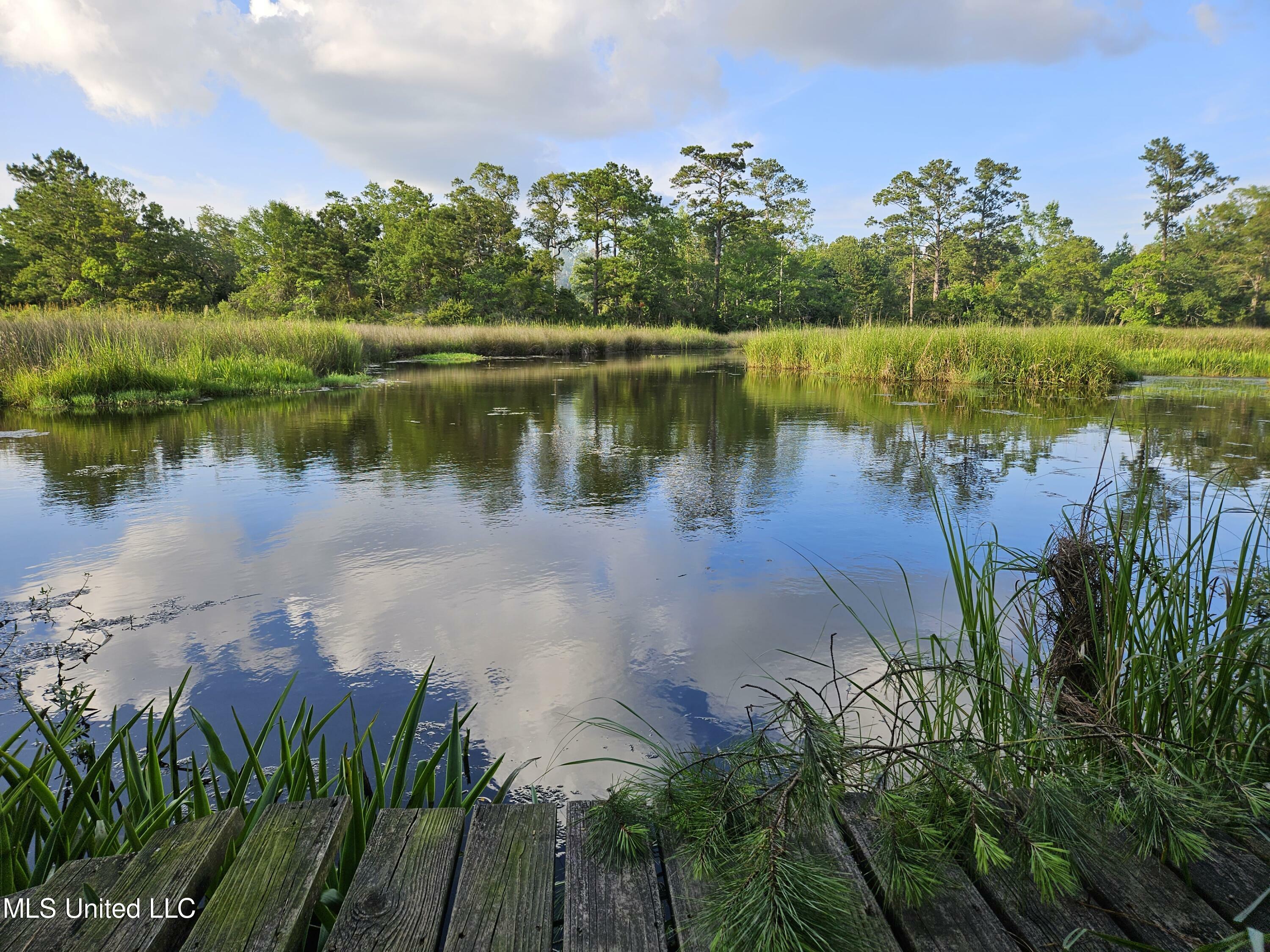 0 Paradise Lane  Bay Saint Louis MS 39520 photo