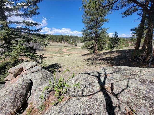 Property Photo:  308 Echo Lake Drive  CO 80827 