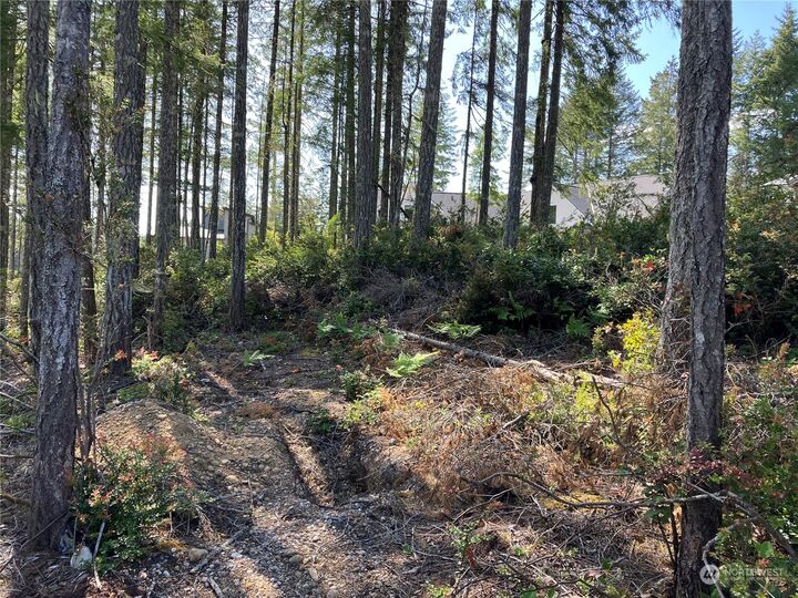 Property Photo: 151 E Eastwood Lane WA 98592