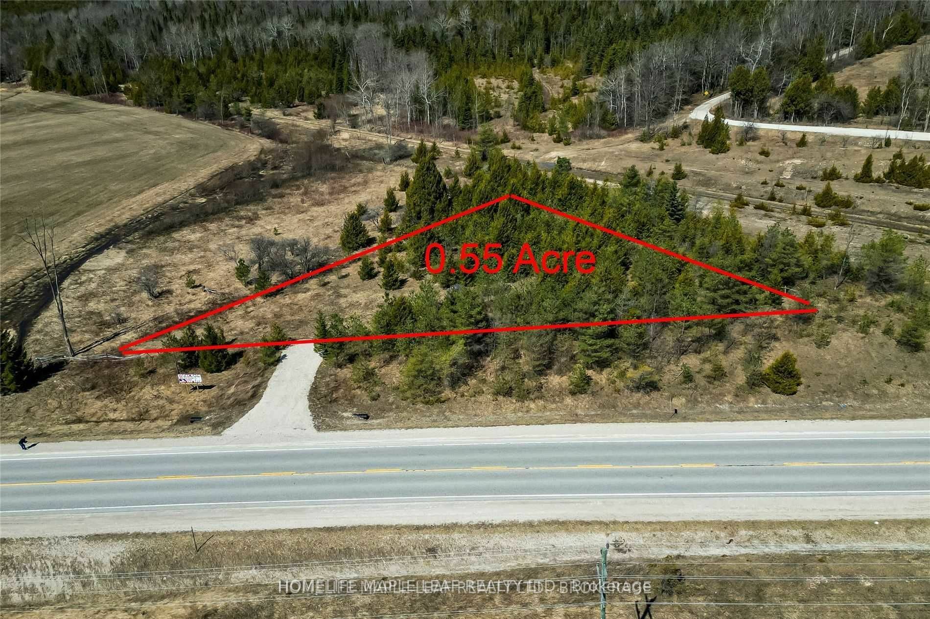 405251 Grey Rd 4 Rd N  Grey Highlands ON N0C1K0 photo