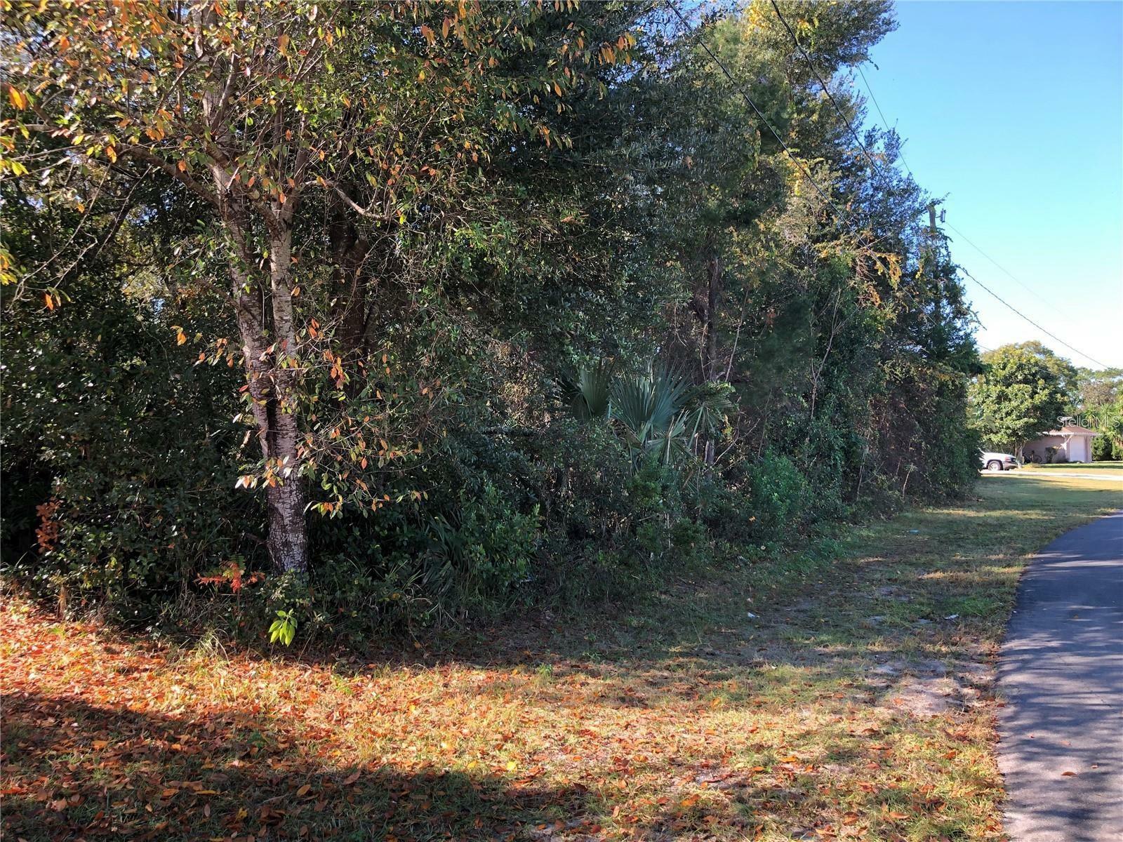 Property Photo:  2311 Timbercrest Drive  FL 32738 