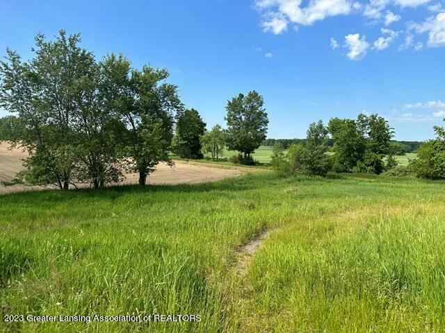 Property Photo:  8273 Curtis Road  MI 49073 