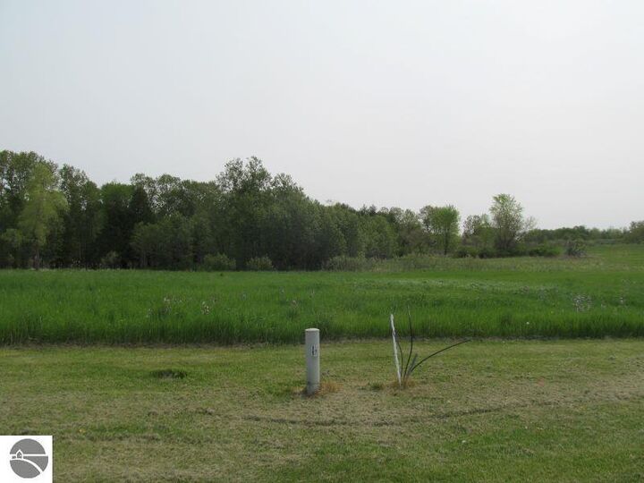 Property Photo:  Lot #15 Hemlock Street  MI 49657 